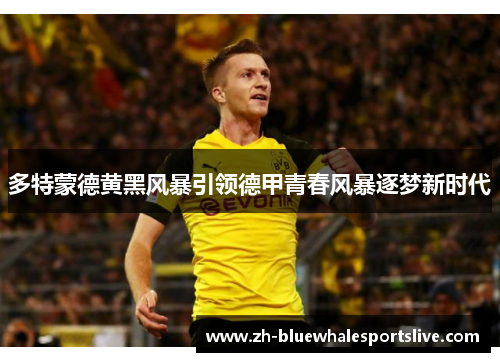 多特蒙德黄黑风暴引领德甲青春风暴逐梦新时代